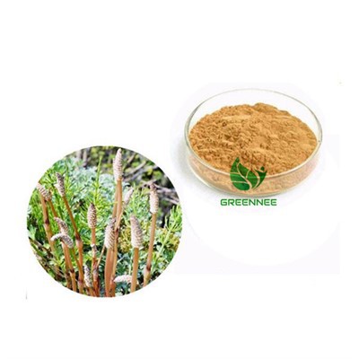 استخراج ذيل الحصان السيليكا 7 ٪